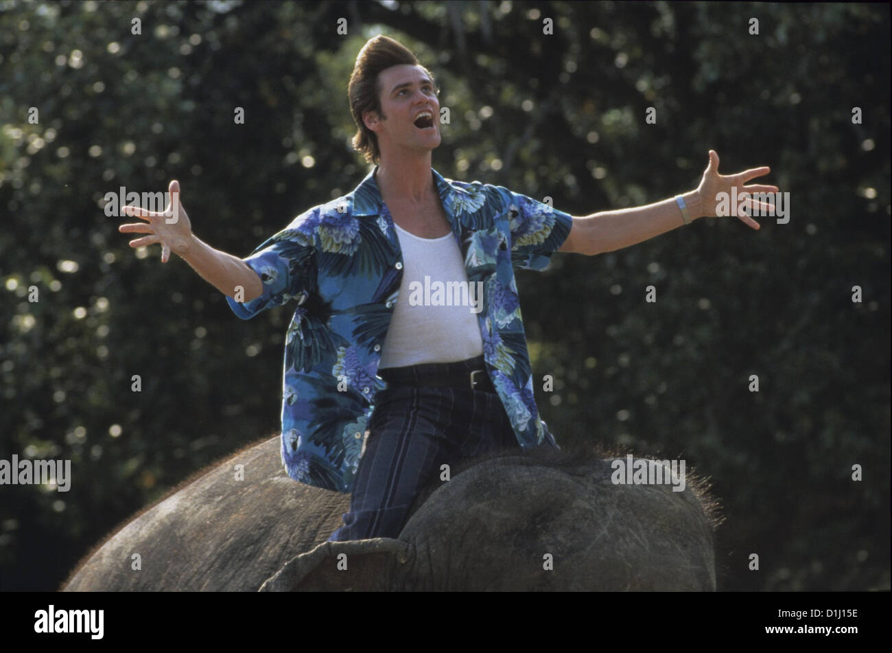 Ace Ventura - Jetzt Wird's Wild Ace Ventura: quando la natura chiama Szenenbild -- Foto Stock