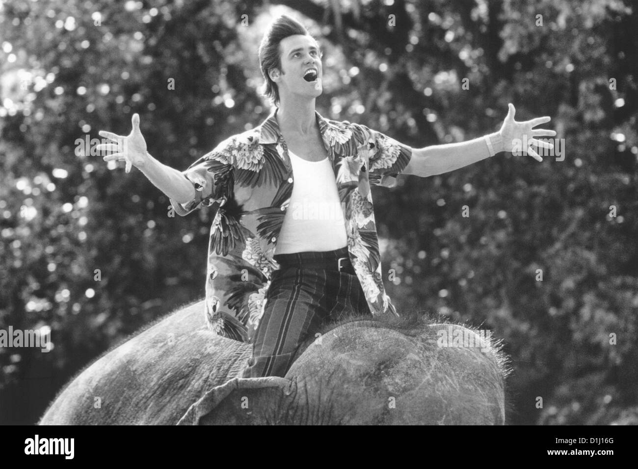 Ace Ventura - Jetzt Wird's Wild Ace Ventura: quando la natura chiama Szenenbild -- Foto Stock