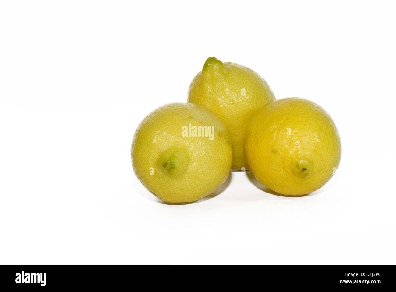 Limoni Foto Stock