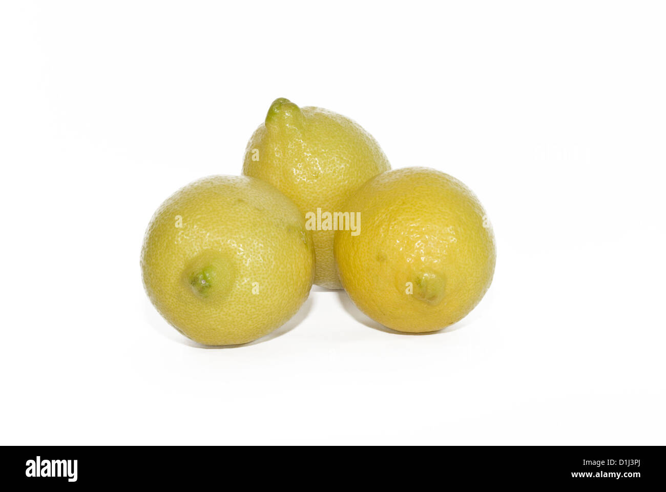 Limoni Foto Stock