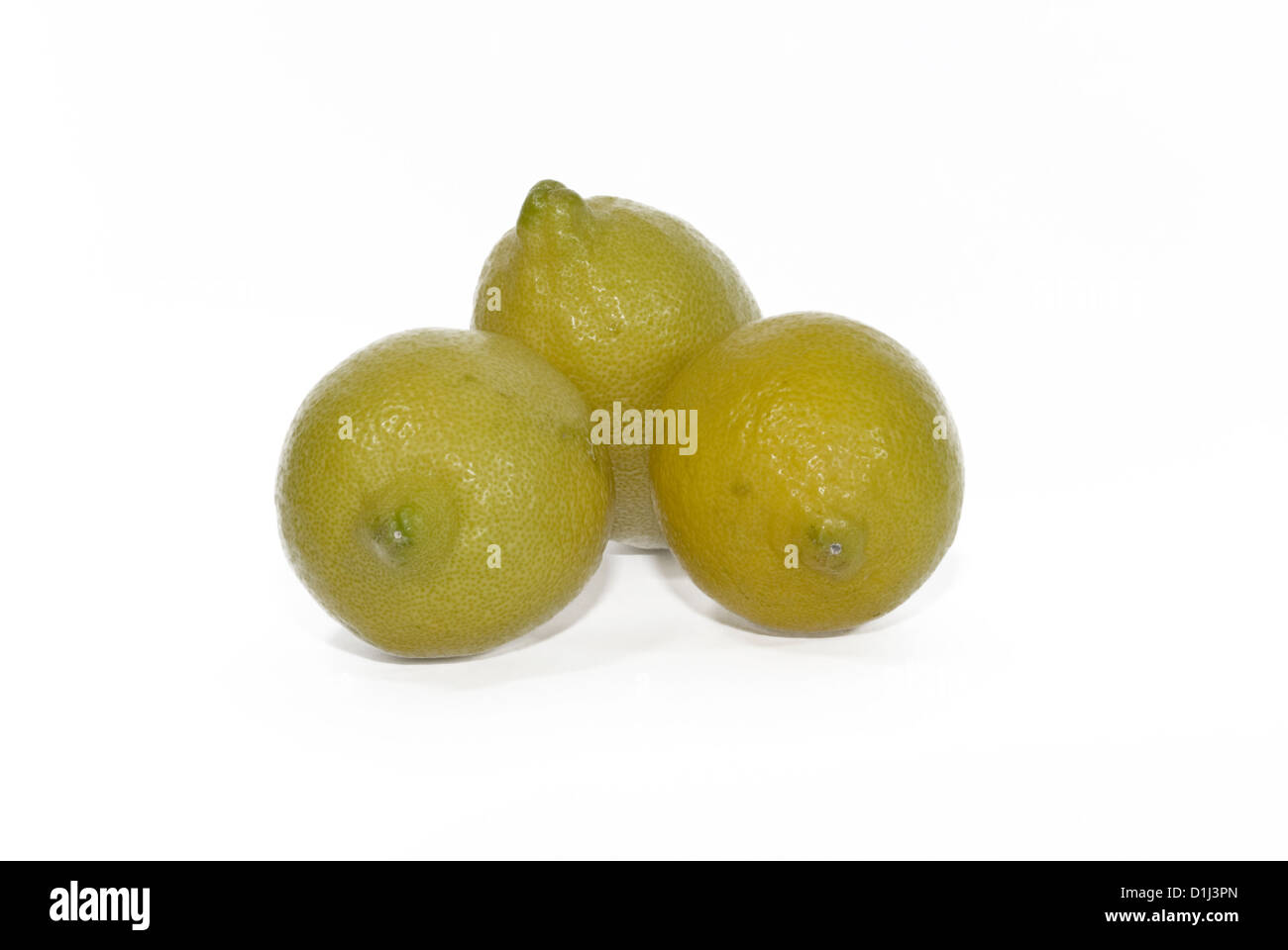 Limoni Foto Stock