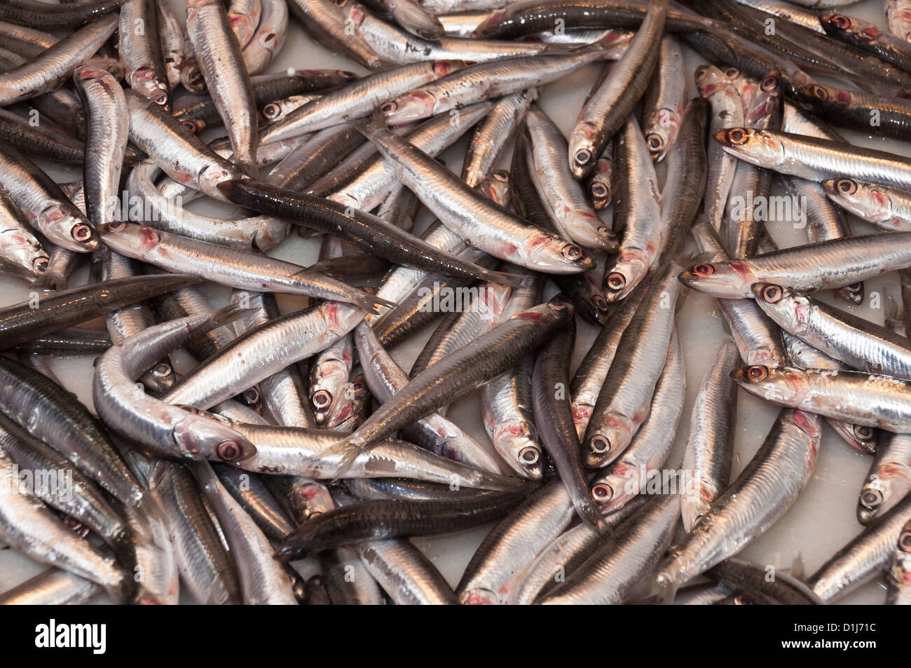 Un pesce tipico per Malaga. Esso viene preparato in vari modi. Foto Stock