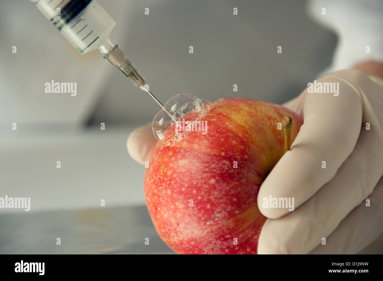 Rosso dolce apple in ingegneria genetica laboratorio, gli alimenti OGM concetto. Foto Stock