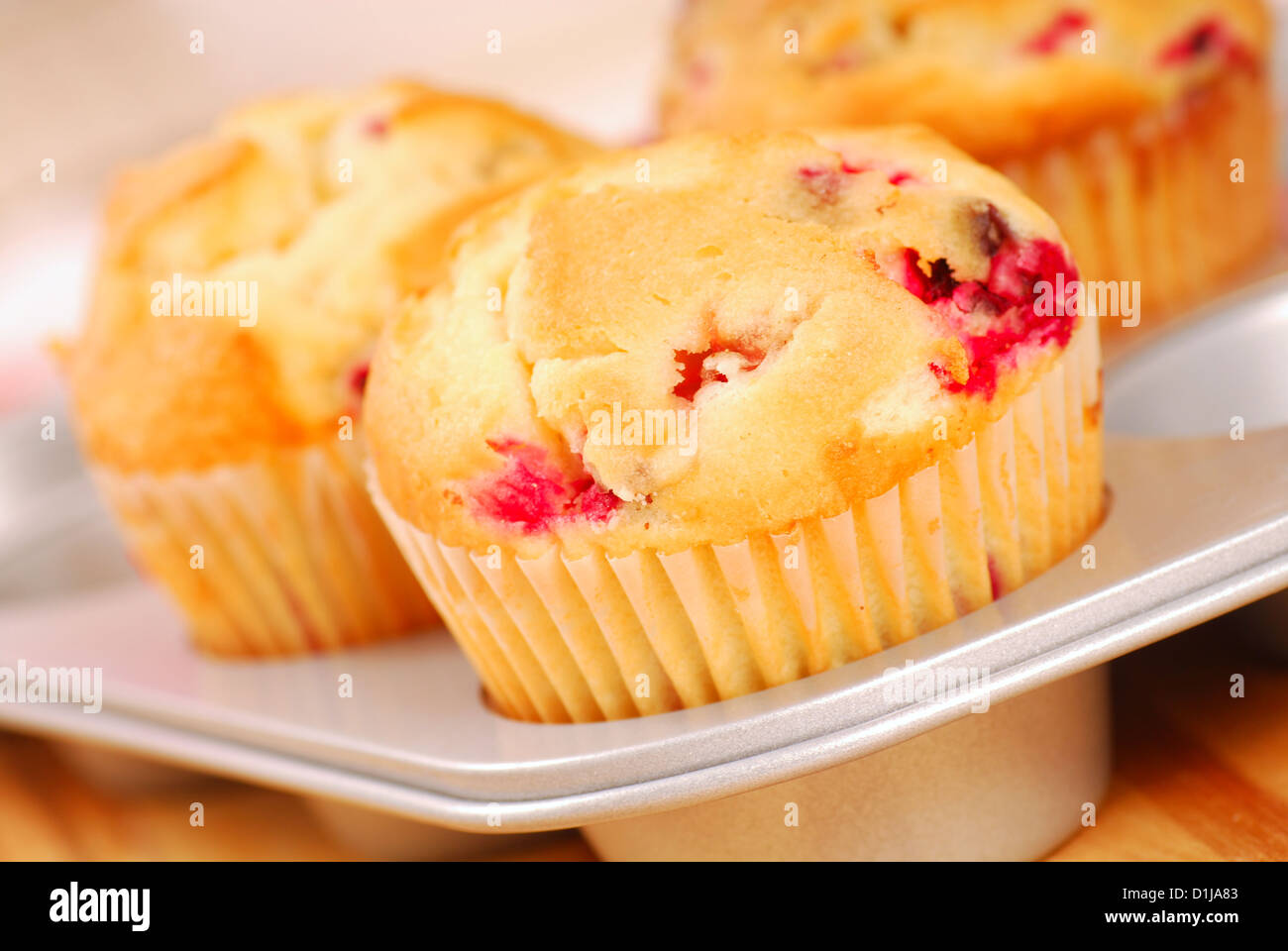 Muffin ai mirtilli appena fuori del forno in una teglia per muffin Foto Stock
