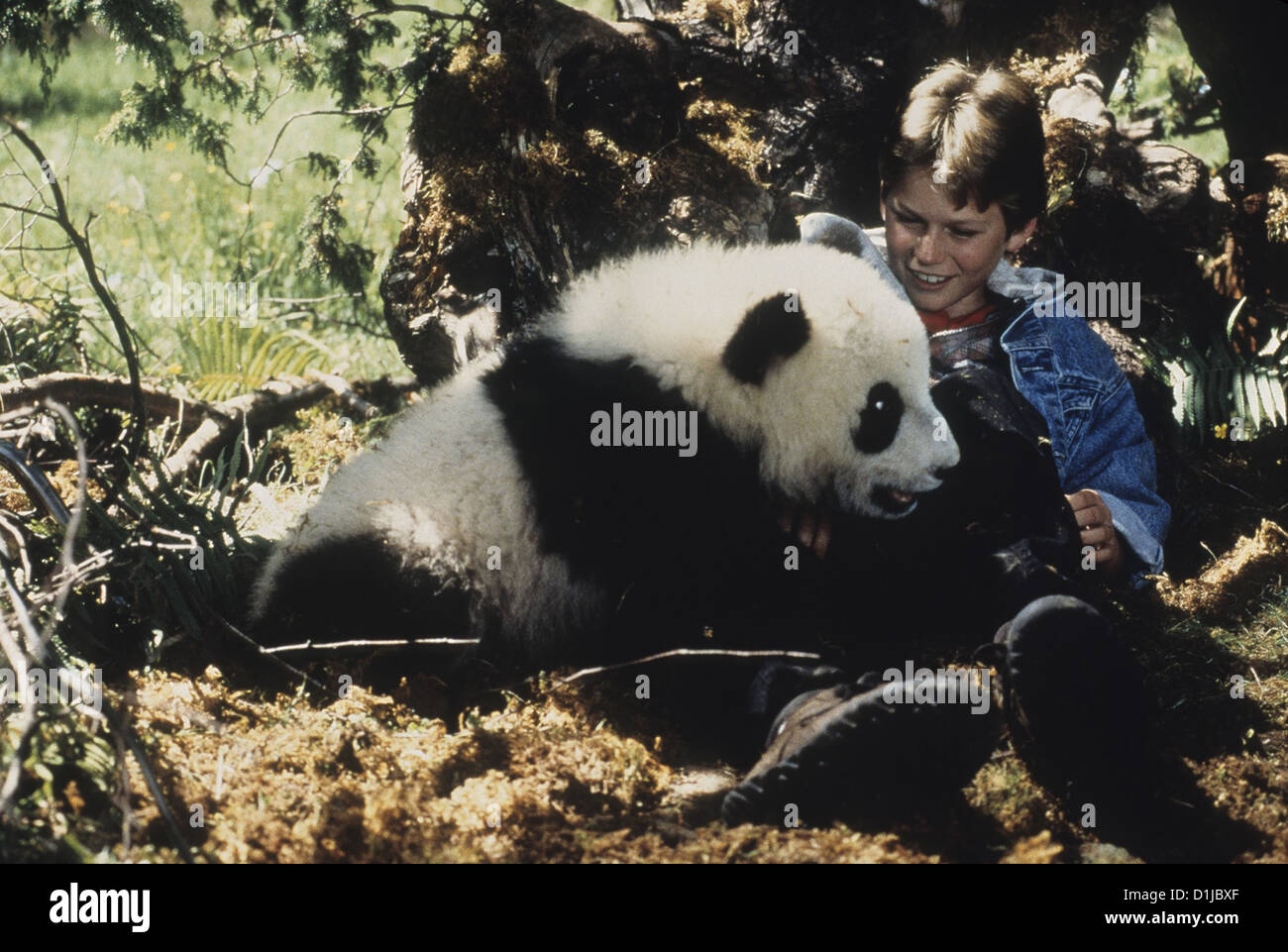 Piccolo Panda Panda incredibile avventura, il Szenenbild Warner Brothers Foto Stock