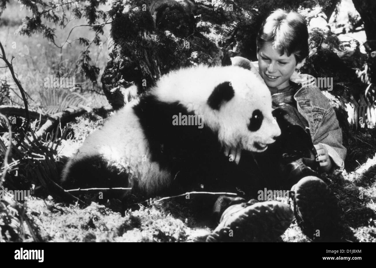Piccolo Panda Panda incredibile avventura, il Szenenbild Warner Brothers Foto Stock