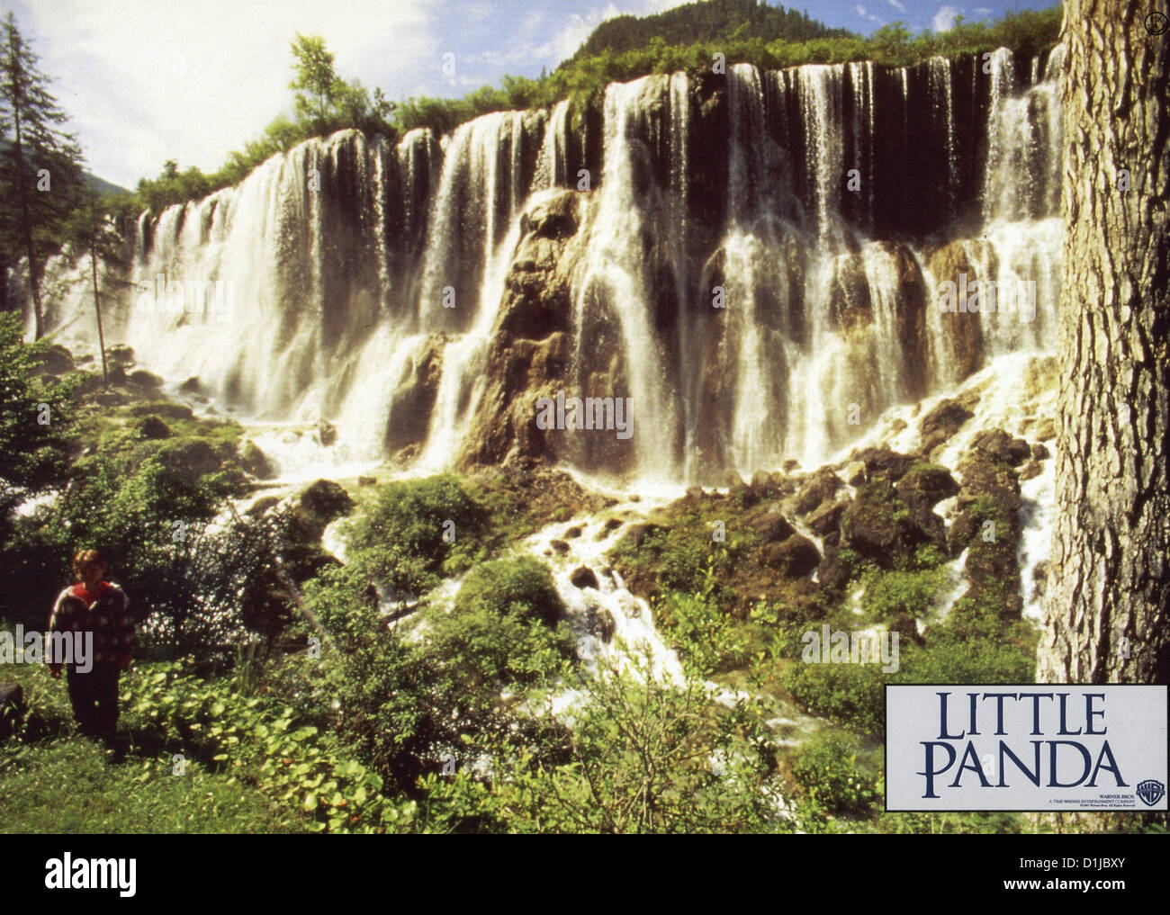Piccolo Panda Panda incredibile avventura, il Szenenbild Warner Brothers Foto Stock