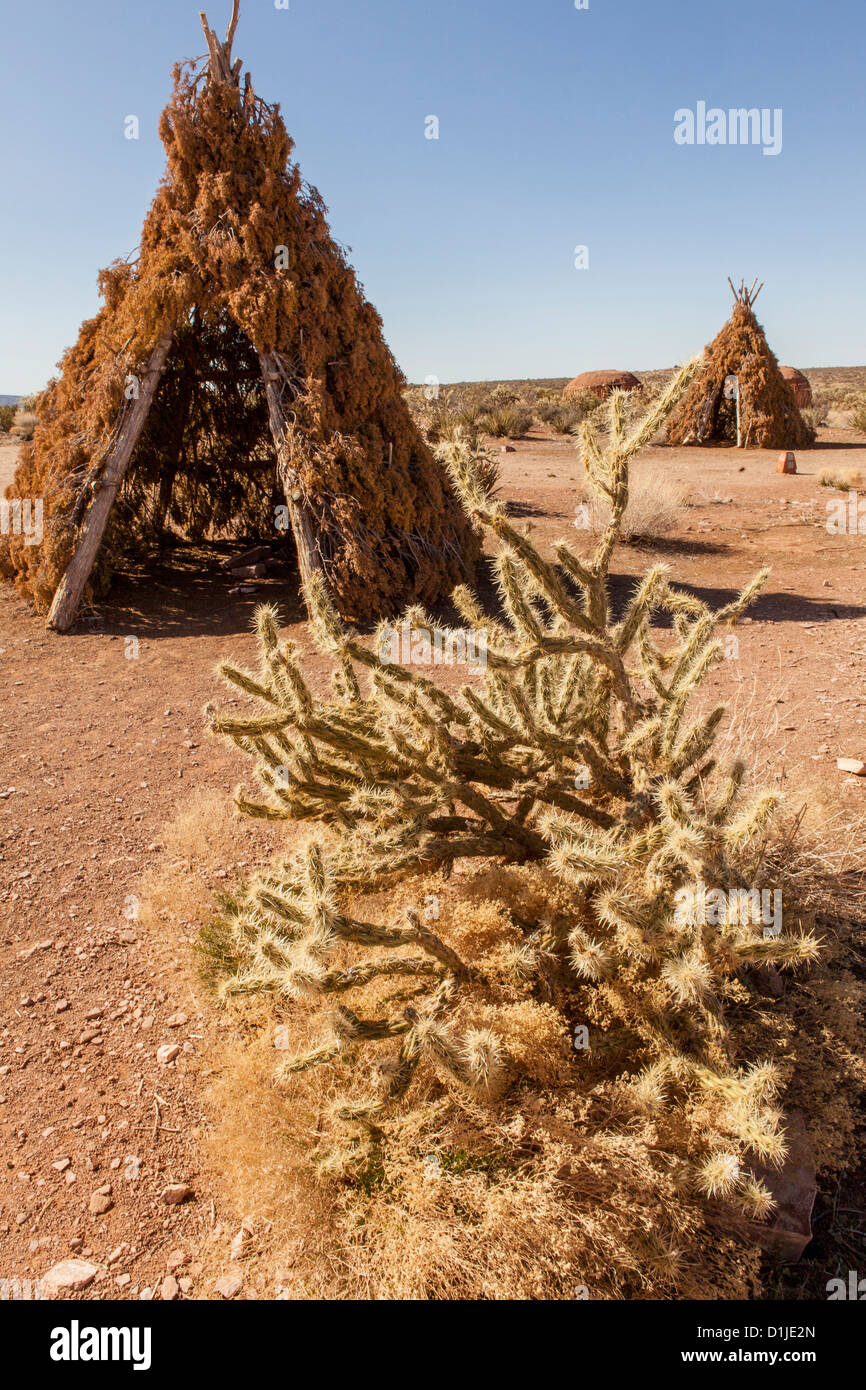 Tradizionale Wikiup Hualapai al Grand Canyon West nella nazione Hualapai prenotazione, AZ. Foto Stock