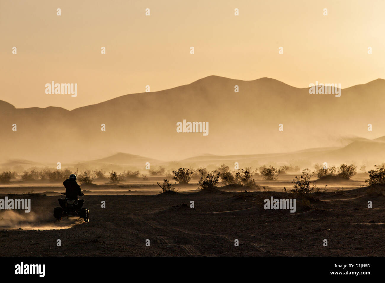 ATV rider corre sulle dune di sabbia di Amargosa Valley State Park, NV. Foto Stock