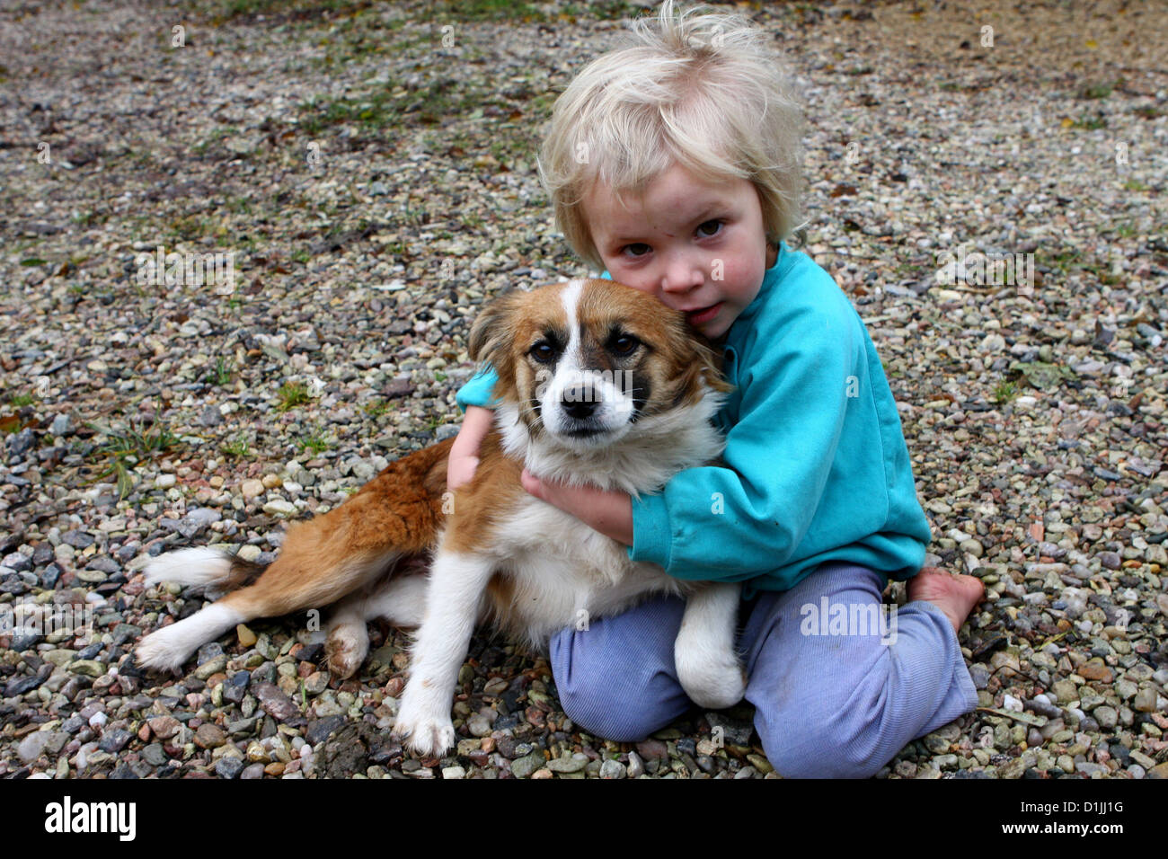 Amico di bambini e cani cane cane che guarda la macchina fotografica, il cane bambino abbraccia Un bambino abbraccia amorevolmente il suo cane bambino da solo Foto Stock