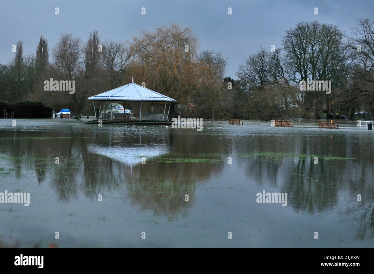 Henley-on-Thames Buckinghamshire UK 16.00 GMT 20-12-2012 Tradizionale del giorno di Natale passeggiate lungo il Tamigi lato percorso di traino e dar da mangiare alle anatre al laminatoio prati ,Henley-on-Thames, vanificata da la risalita di acque di esondazione (nota il fiume Tamigi è tra il Banco e il Berkshire lato del fiume - come si è visto) la band stand in normalmente sul mulino prati verde Foto Stock