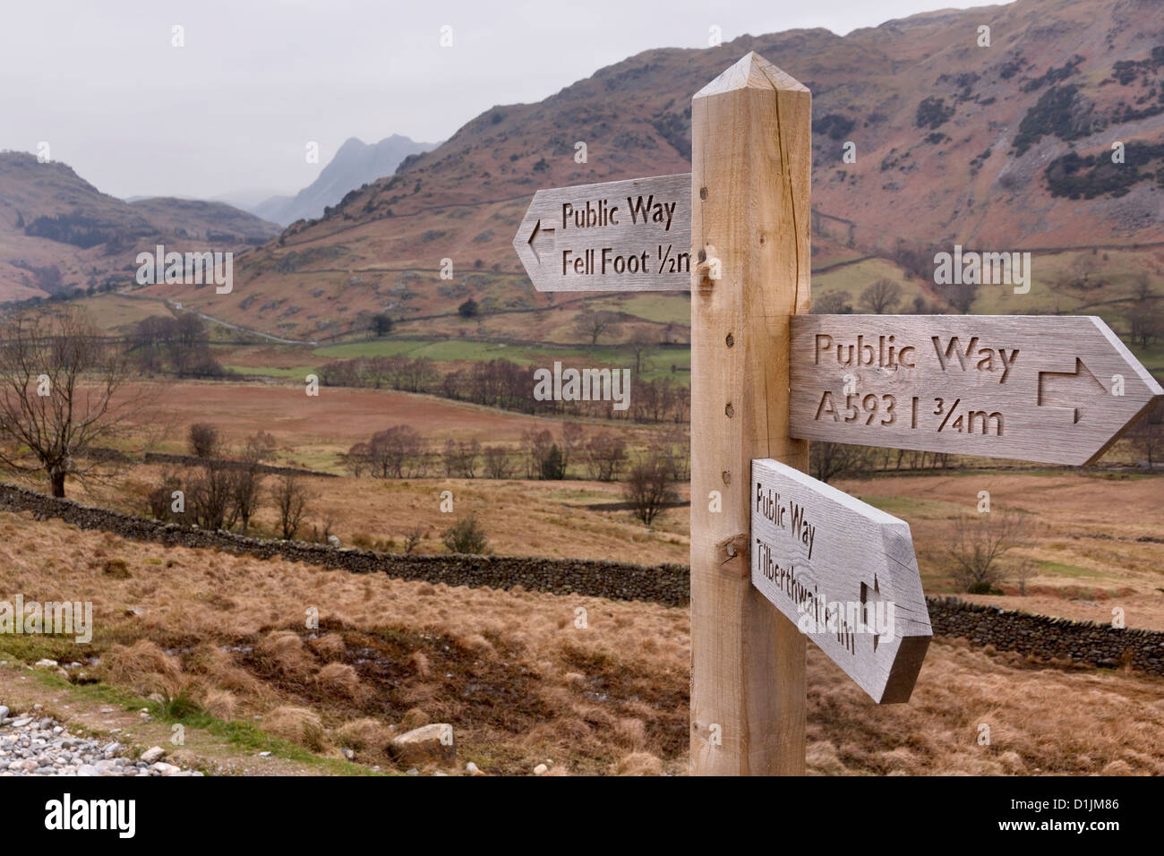 In legno intagliato sentiero direzione dito post sign in poco Langdale, Cumbria, Lake District, Inghilterra, Regno Unito. Foto Stock