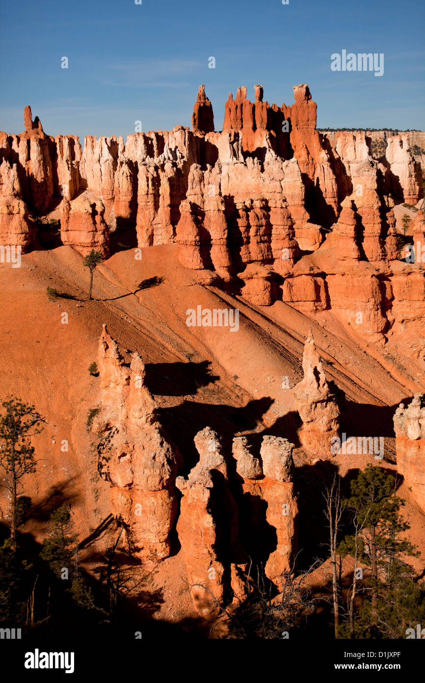 Colorate formazioni rocciose del Parco Nazionale di Bryce Canyon, Stati Uniti d'America, STATI UNITI D'AMERICA Foto Stock