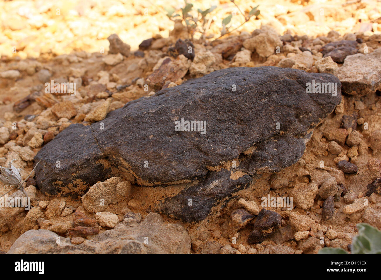 Roccia ignea Akal Rajasthan in India Foto Stock