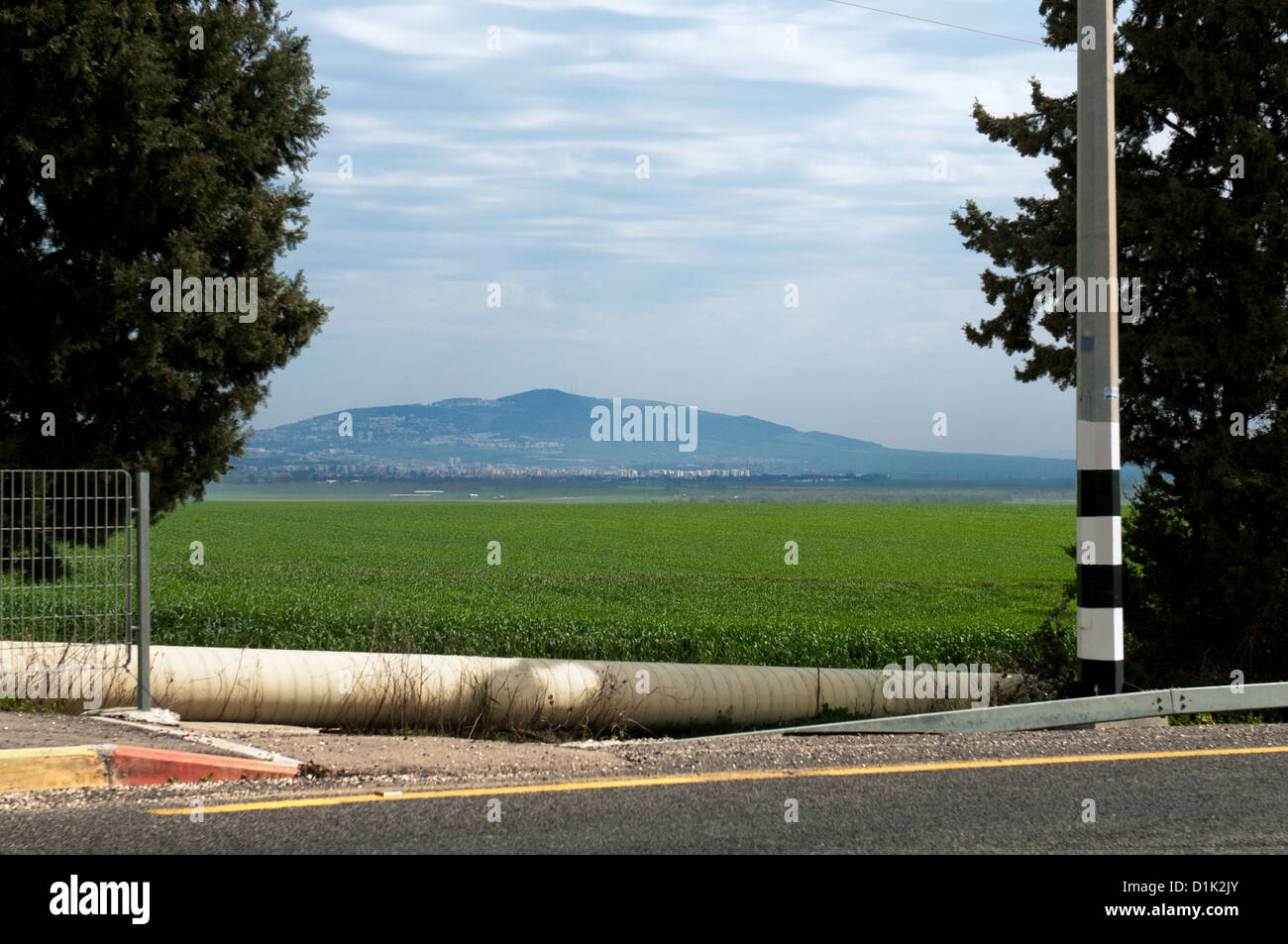 Israele, Jezreel Valley, Monte Tabor in background Foto Stock