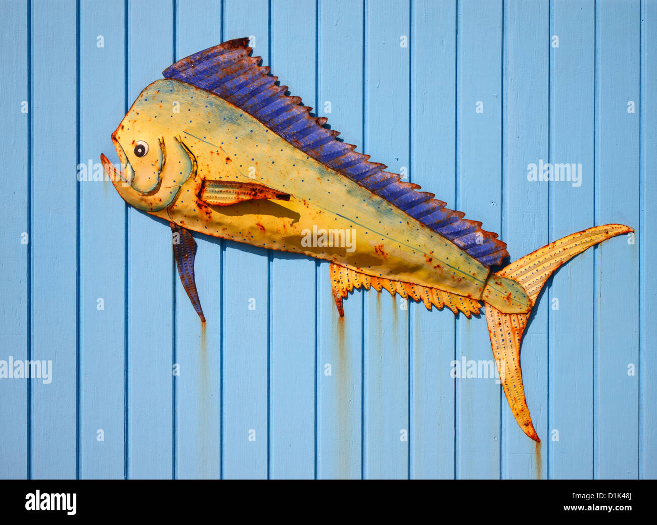Pesce sulla parete in legno. Foto Stock