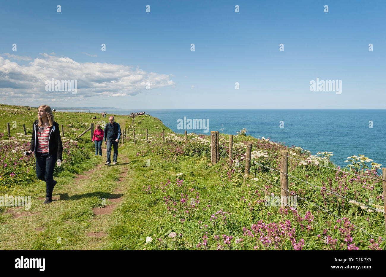 In cima alla scogliera a percorso Bempton Foto Stock