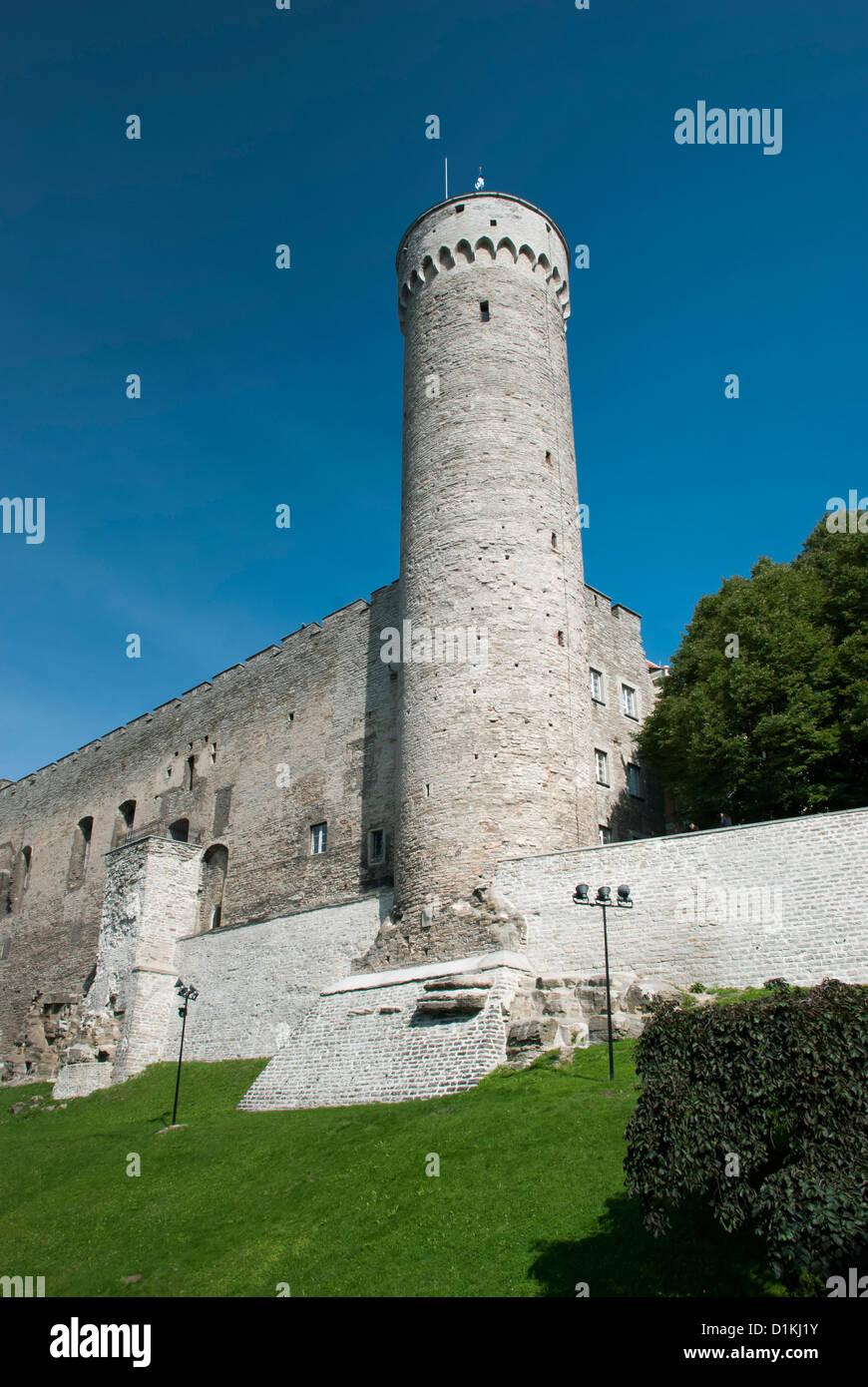 'Lungo Herman' tower, l'edificio storico di Tallinn, Estonia - quando la bandiera è issata ogni giorno Foto Stock