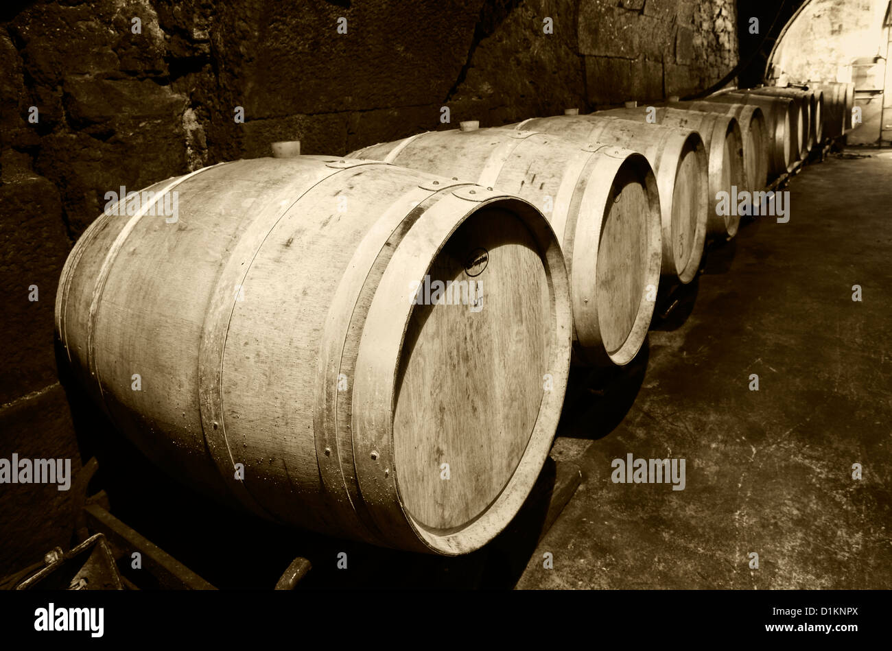 Botti di riposo in una cantina. A Lanciego. Rioja Alavesa strada del vino. Alava. Paese basco. Spagna Foto Stock