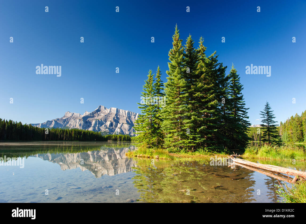 Mount Rundle dal Cascade stagni. Il Parco Nazionale di Banff, Canada Foto Stock