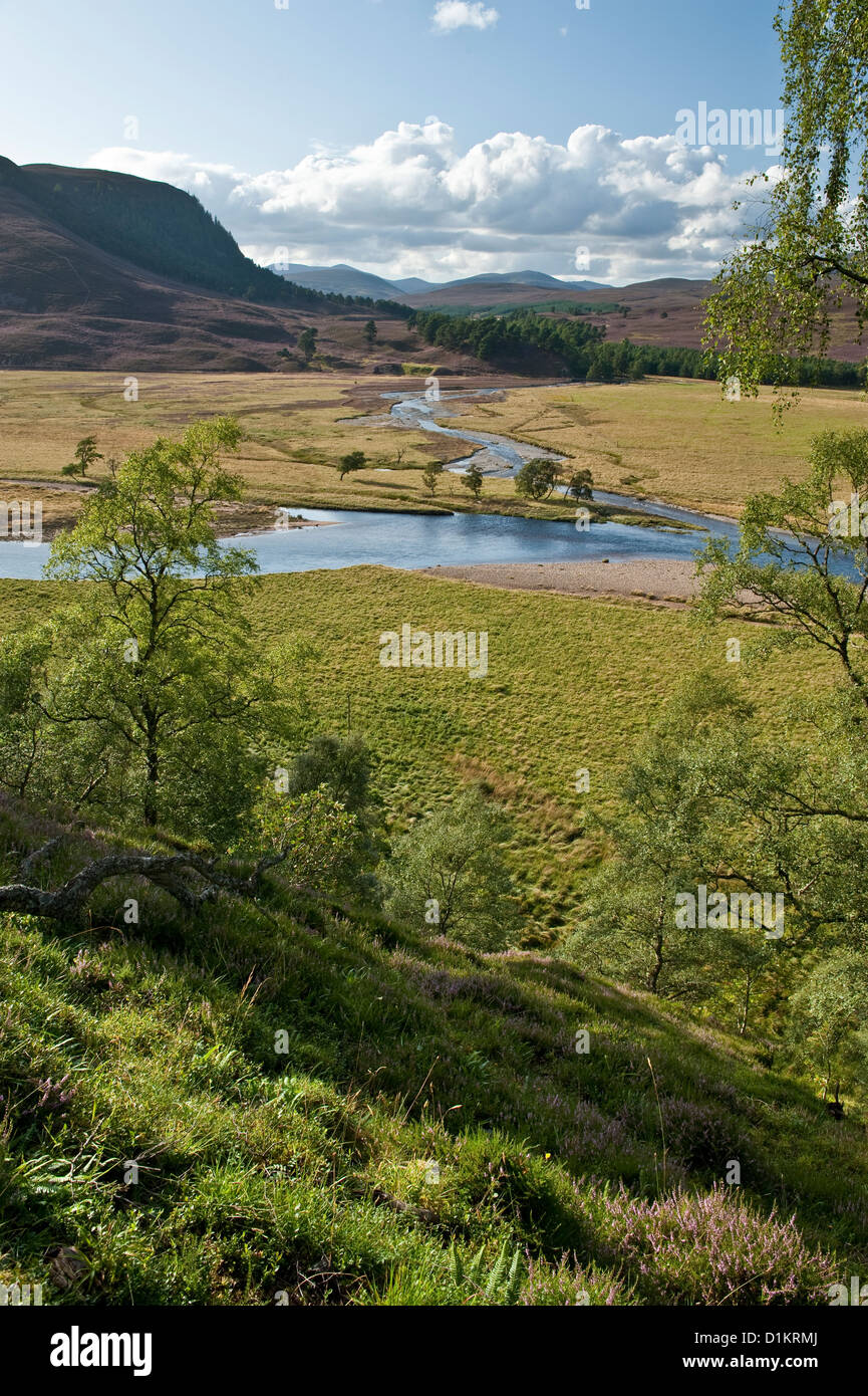 Vista estiva di Glen e valle nella parte superiore Deeside area di Grampian Mountains, NE LA SCOZIA Foto Stock
