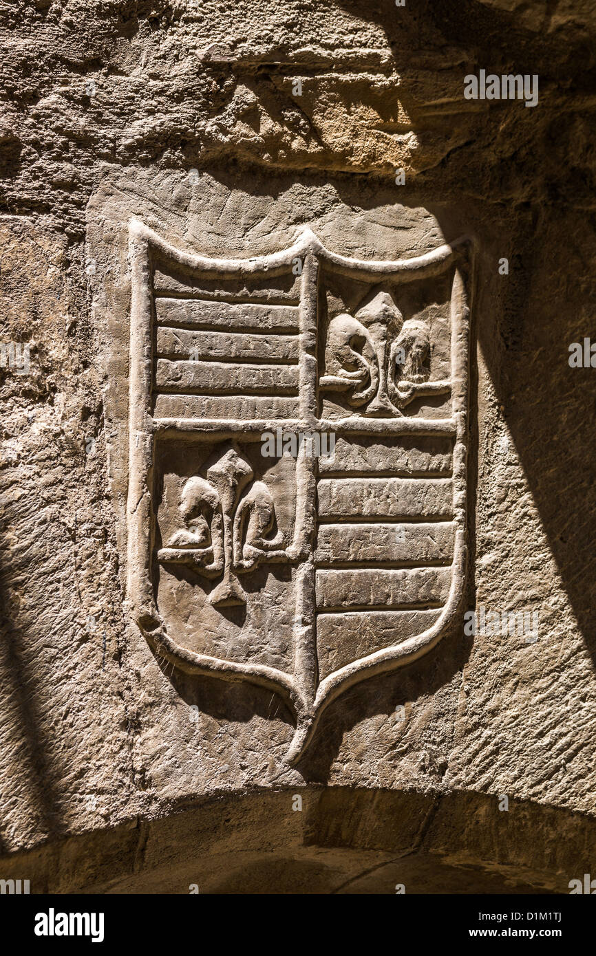 Stemma la decorazione di un muro di una casa nel piccolo borgo medievale Sos del Rey Católico in Aragona, Spagna Foto Stock