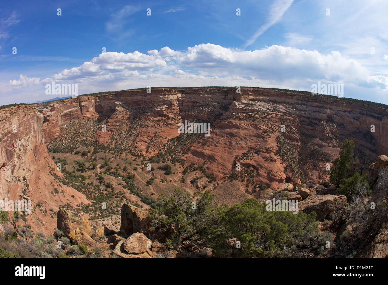 Massacro grotta si affacciano, Canyon De Chelly National Monument, Arizona, Stati Uniti d'America Foto Stock