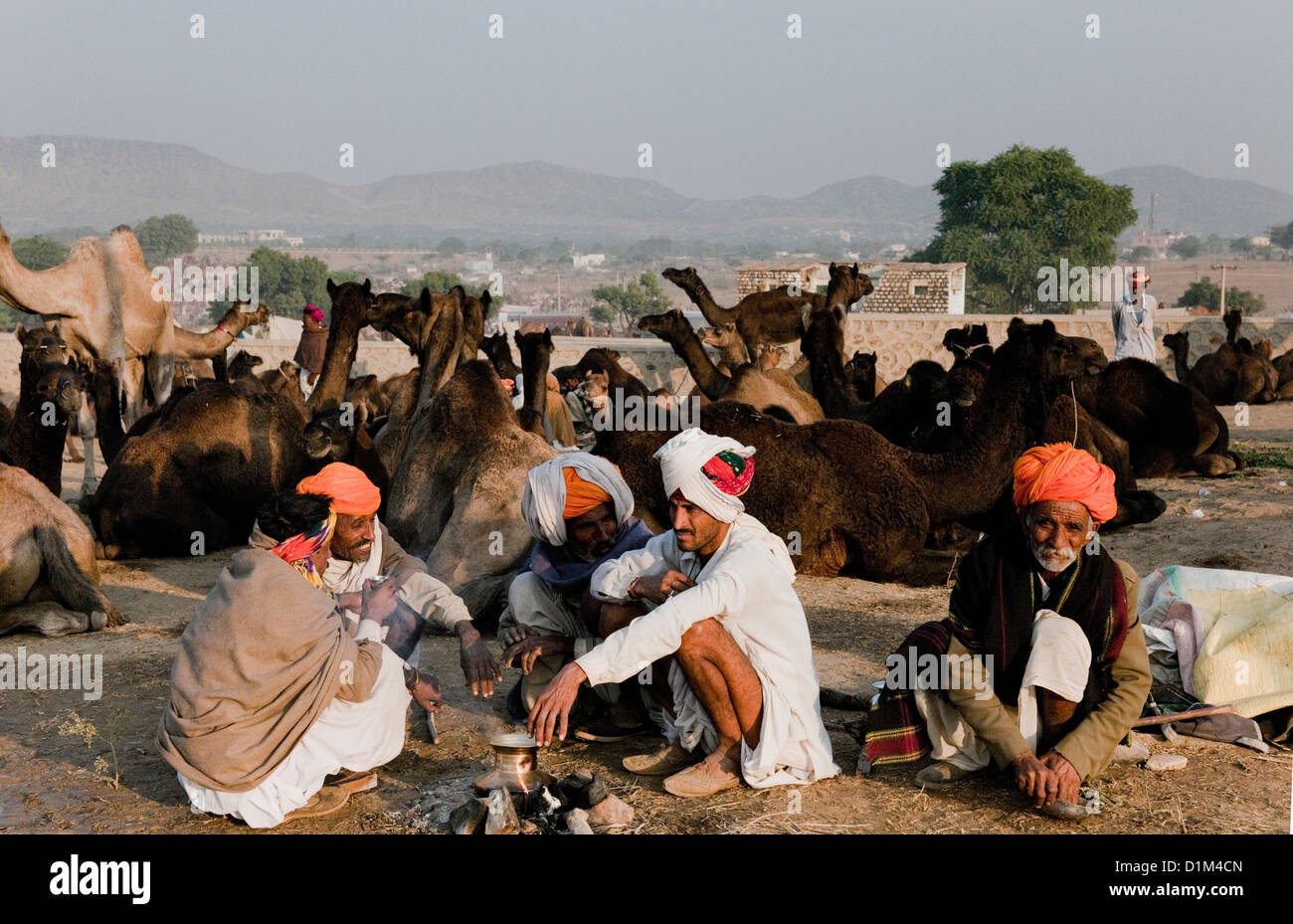 I commercianti del cammello sedersi sul terreno a guardare i loro cammelli a parlare del cammello annuale fiera di Pushkar Rajasthan in India Foto Stock