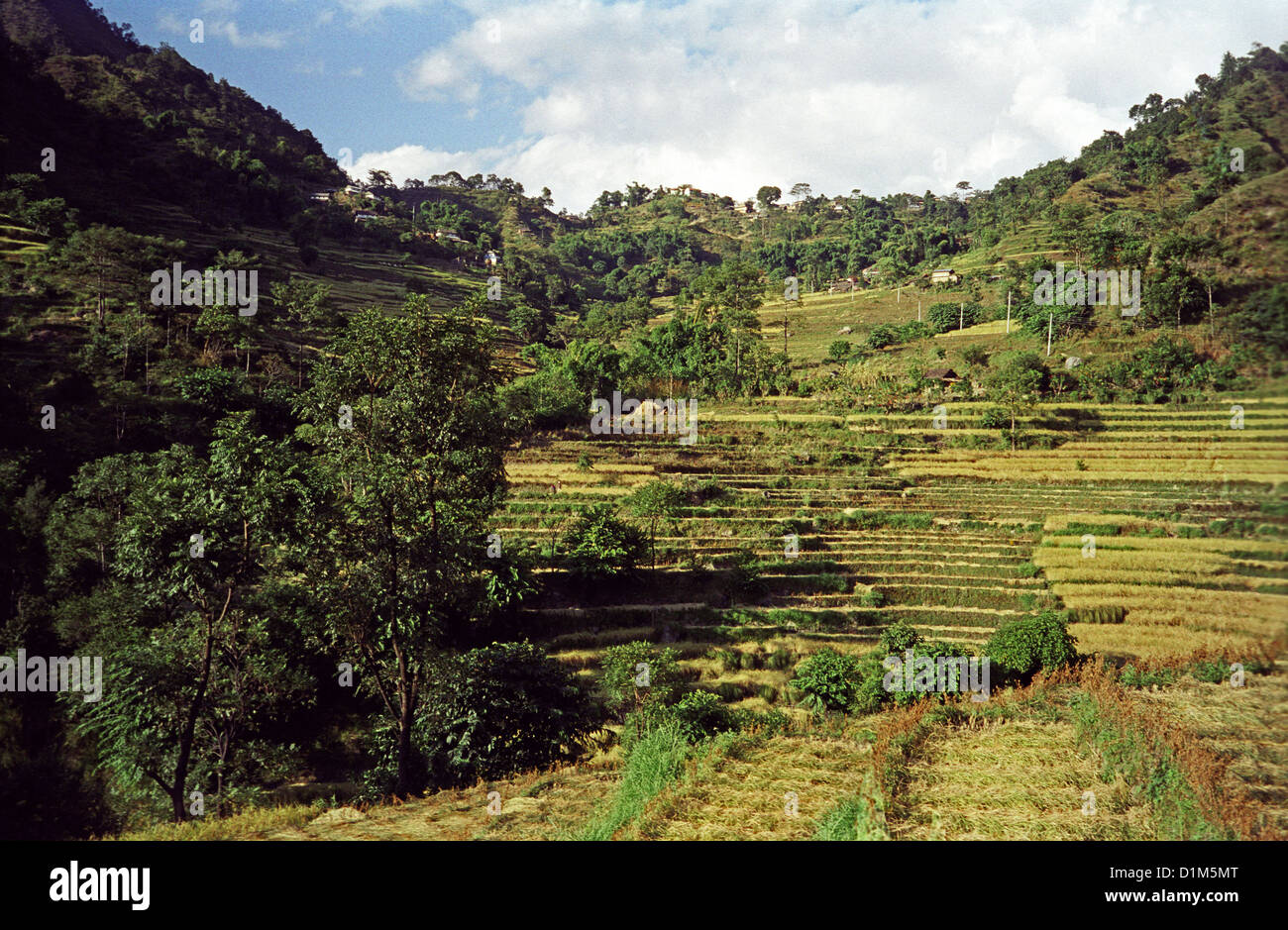 Agricoltura terrazzati sui fianchi ripidi del Marsyangdi Valle sul circuito di Annapurna Himalaya in Nepal Foto Stock