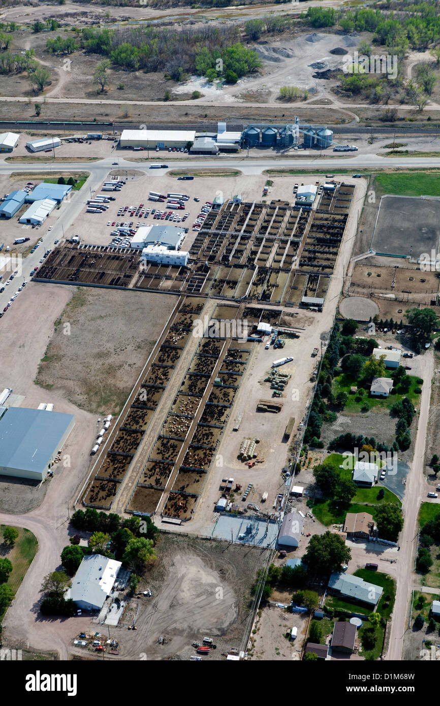 Fotografia aerea bovini feedlot Nebraska Foto Stock