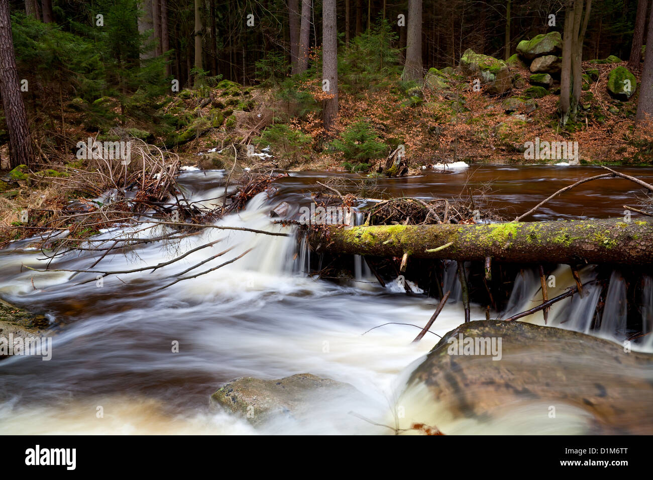 Fast fiume di montagna nella foresta, Harz Foto Stock