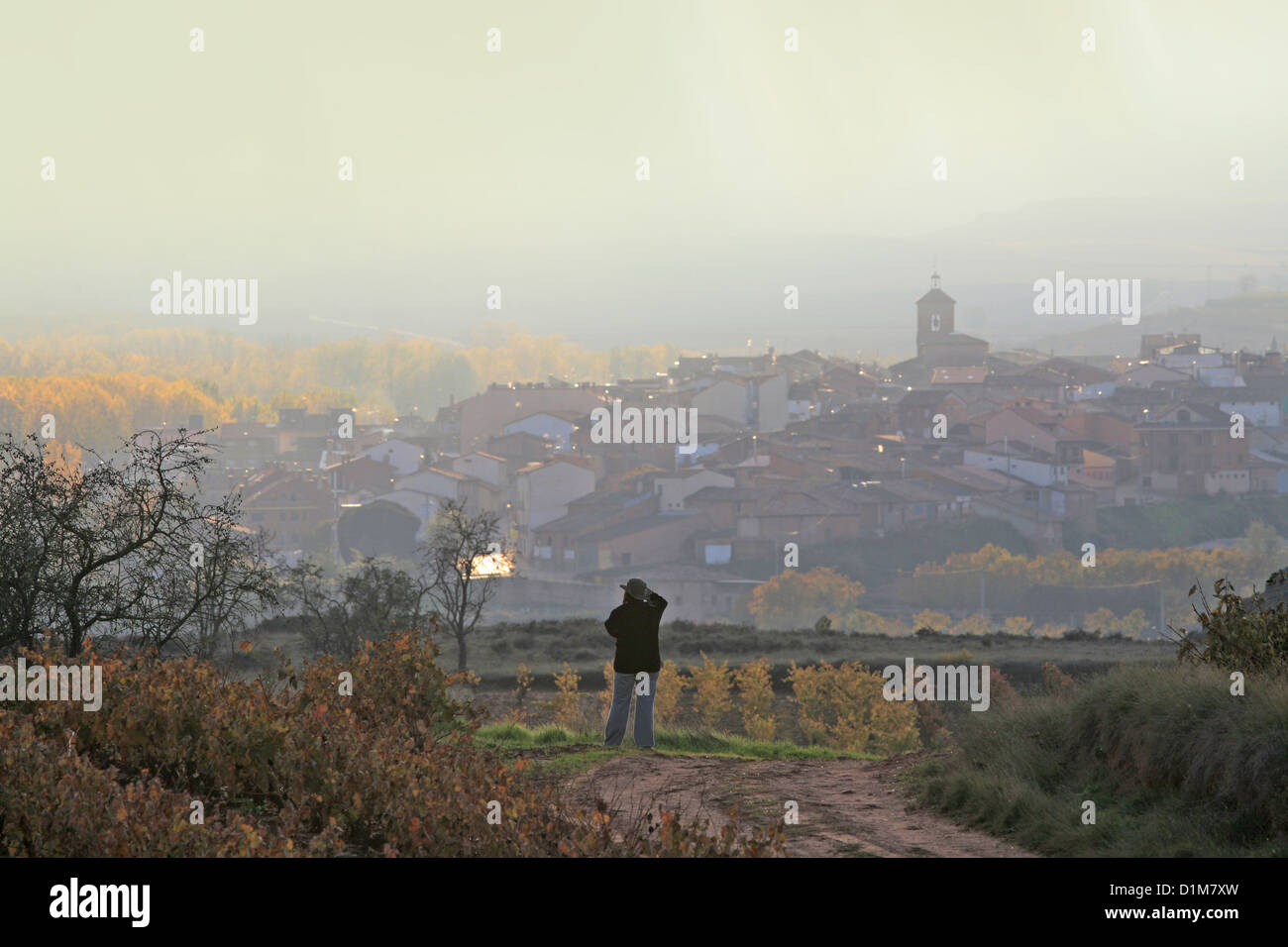 Villaggio Badaran un vigneti, Cardenas valley, Rioja vino regione, Spagna, Europa Foto Stock