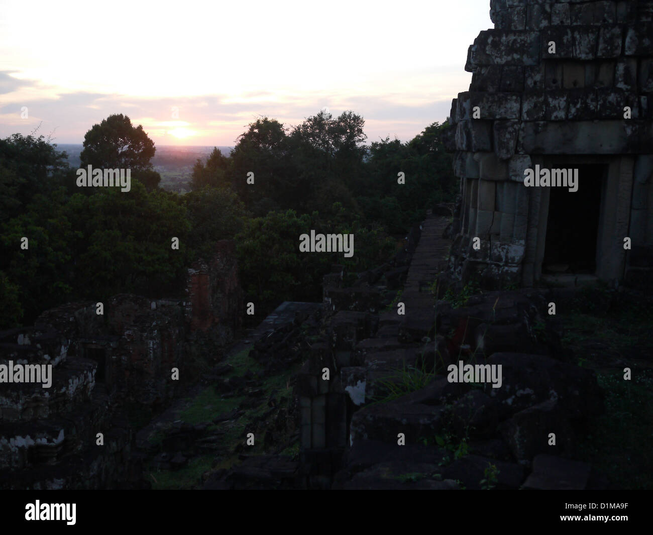 Tramonto foresta scura ombra Foto Stock