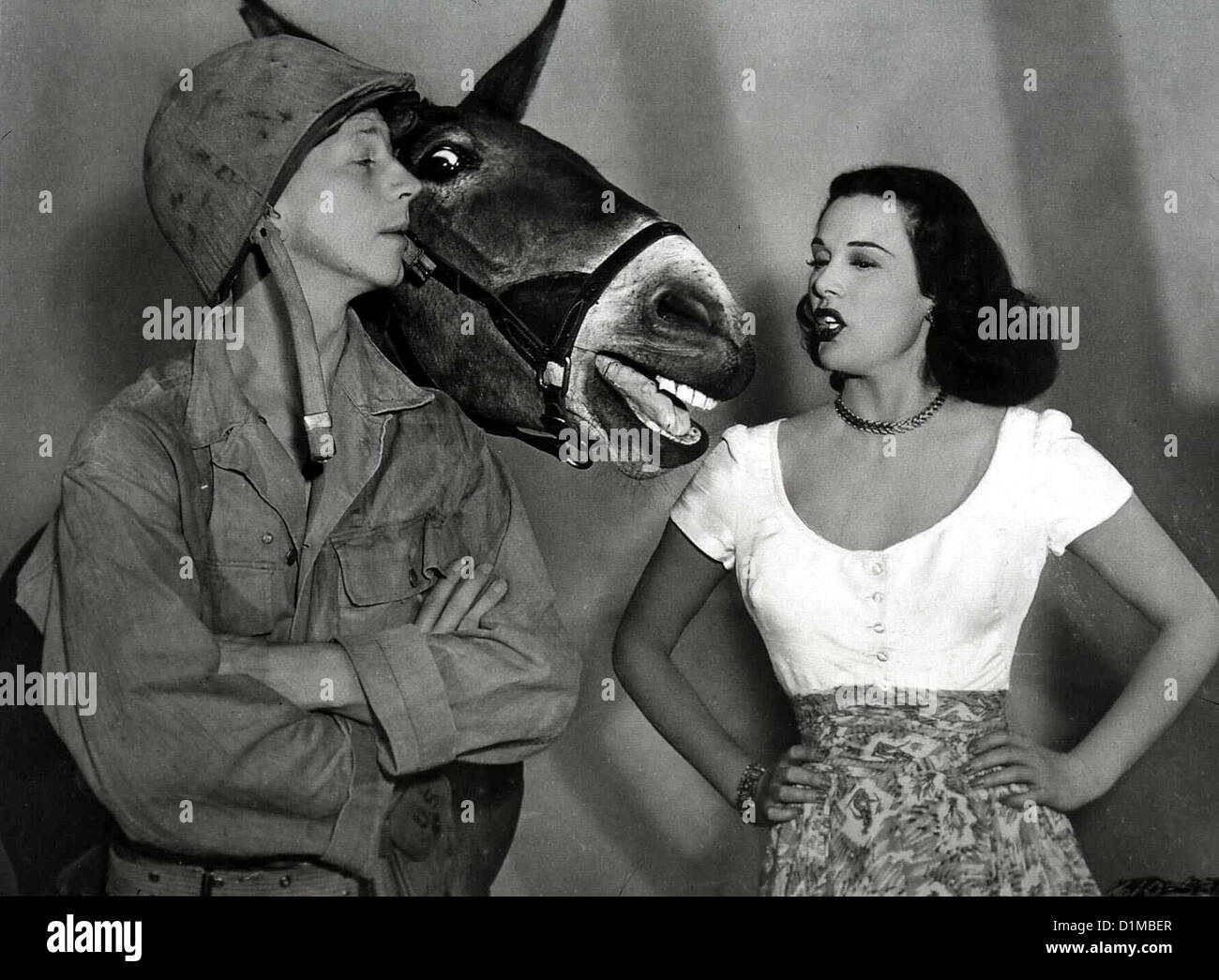 Francesco, Ein Maurizio - Herr generale Francis Donald O'Connor, Francesco, Patricia Medina Peter Stirling (Donald O Connor) erfährt Foto Stock