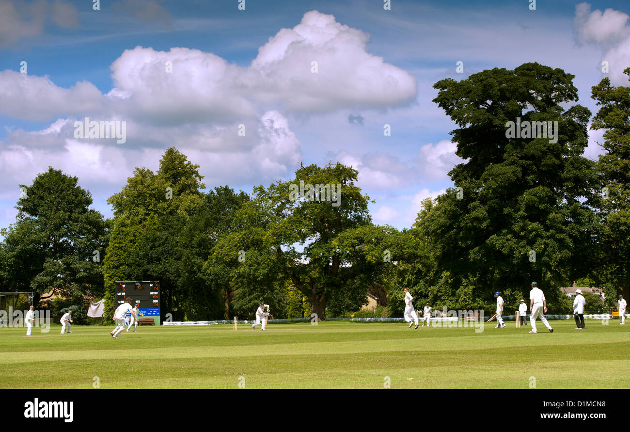 Gioco di cricket su un pomeriggio estati in un villaggio inglese. Knutsford, Cheshire. Foto Stock