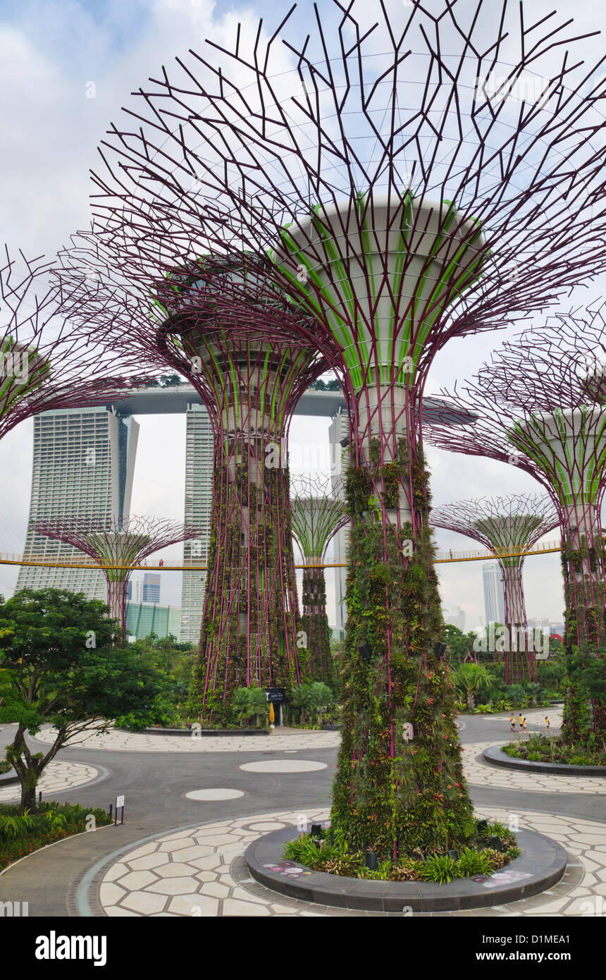 Il Supertree Grove a Giardini in baia con il Marina Bay Sands in background, Singapore Foto Stock