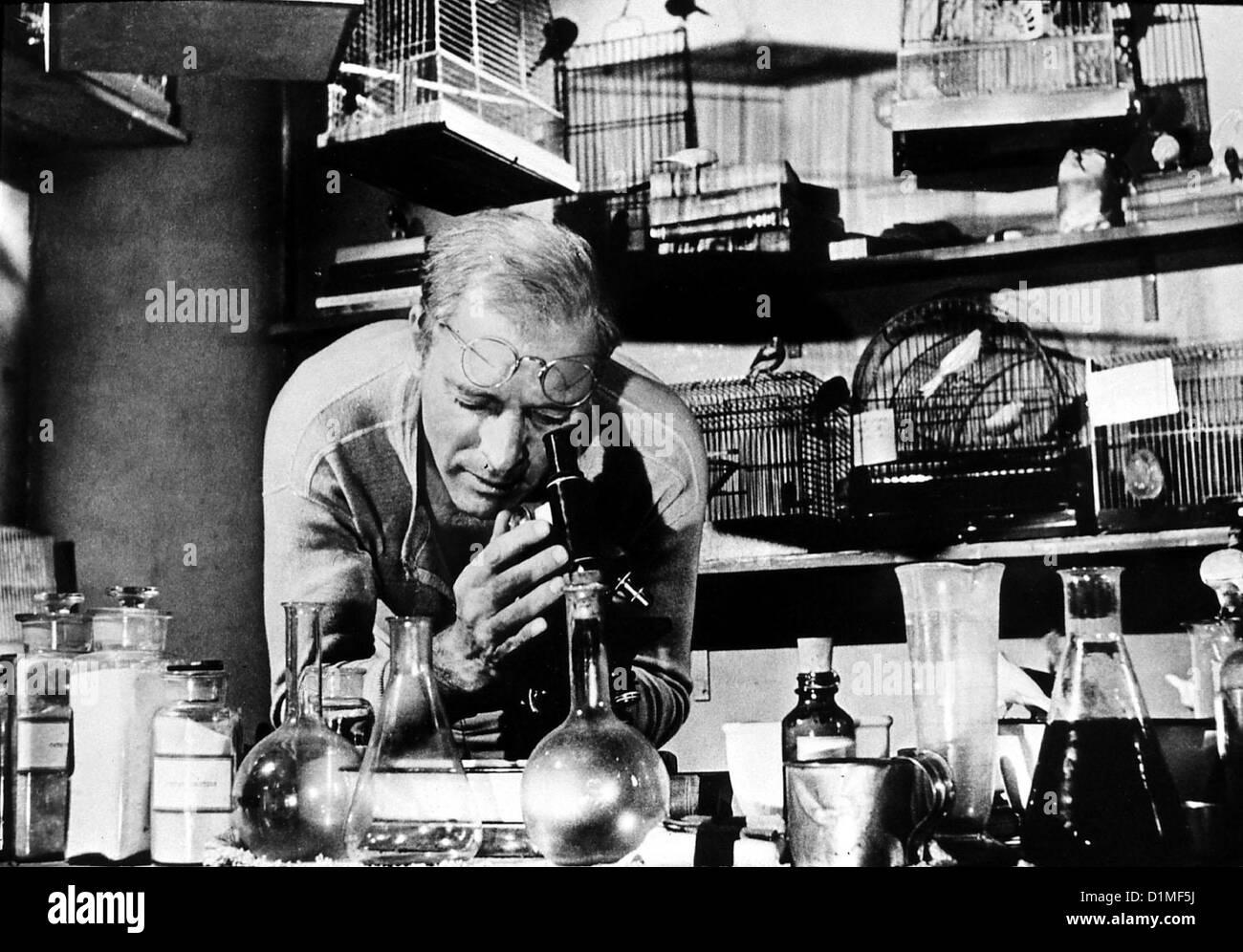 Der Gefangene Von Alcatraz Birdman Alcatraz Burt Lancaster Doppelmoerder Robert Stroud (Burt Lancaster) arbeitet sich zu Foto Stock