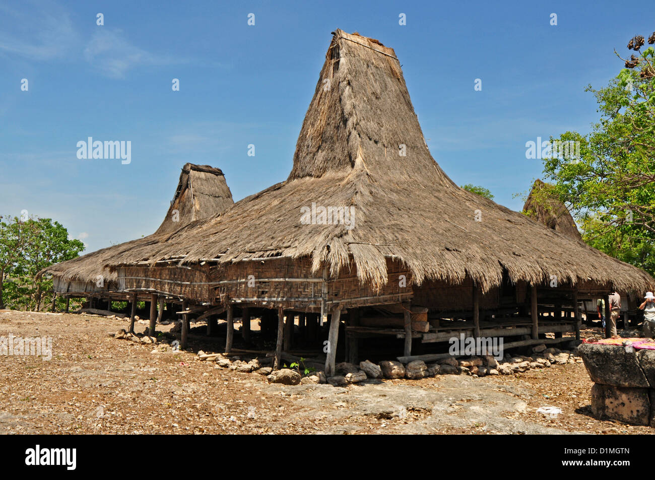 INDONESIA, Sumba, Prailiang, hilltop village con tradizionali di alta appuntita tetti in paglia, tipica dell'isola Foto Stock