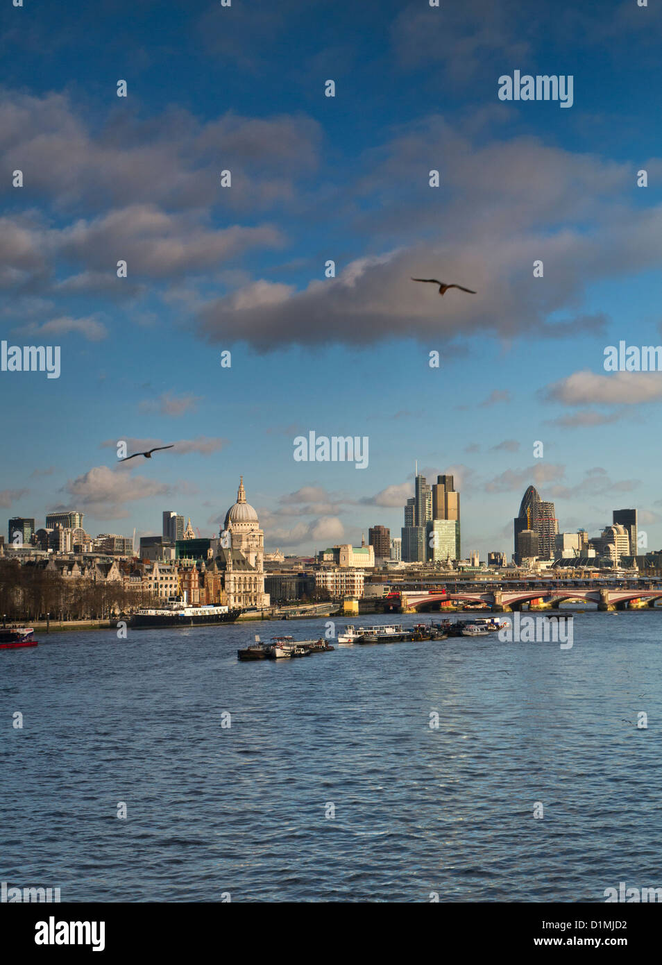 Città di Londra e il fiume Tamigi vista dal ponte di Waterloo con uccelli in volo London REGNO UNITO Foto Stock