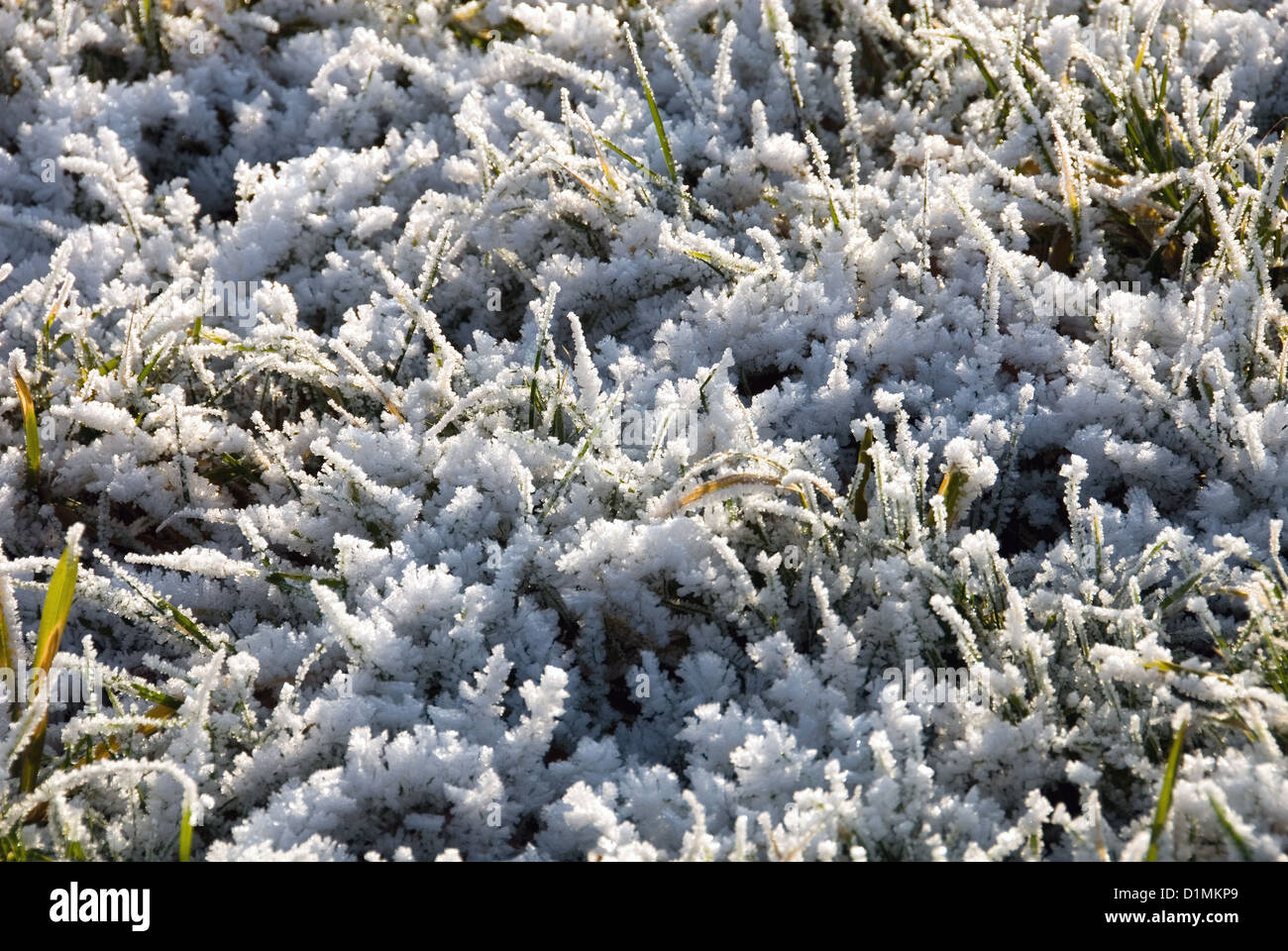 Un tipico inverno scena di massa nei Paesi Bassi Foto Stock