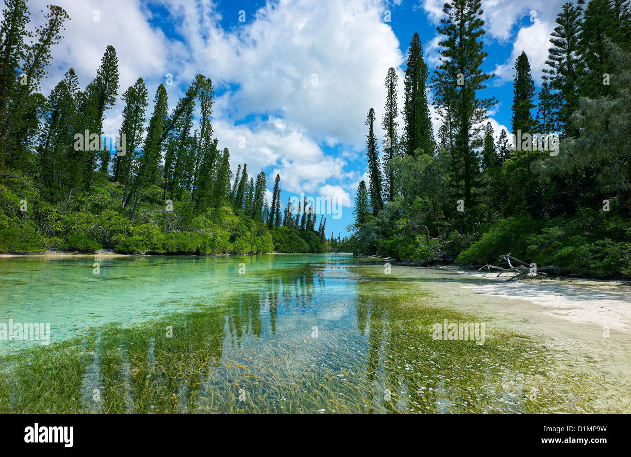 Fiume Isola dei Pini Nuova Caledonia Foto Stock