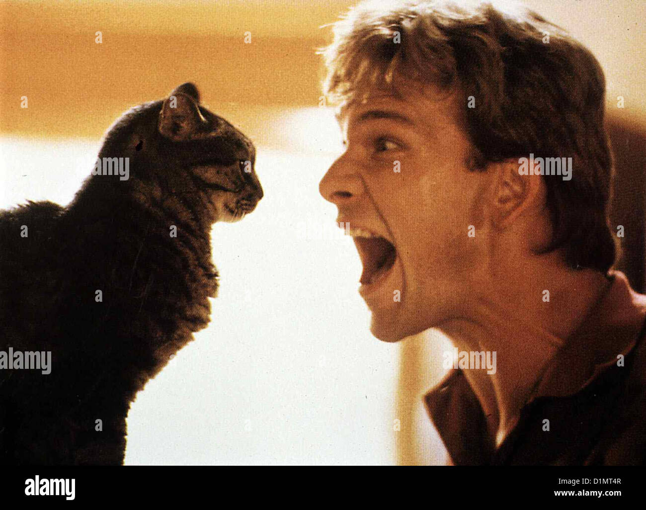 Ghost - Nachricht Von Sam Ghost Patrick Swayze Ghost Sam (Patrick Swayze) versucht, sich circuizione Katze bemerkbar zu machen. Foto Stock