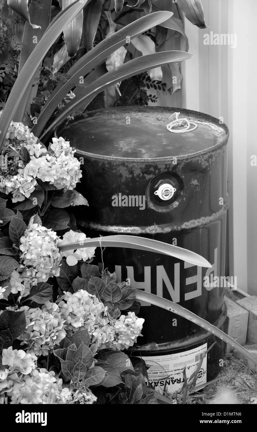 Barile di petrolio circondato da fiori Foto Stock