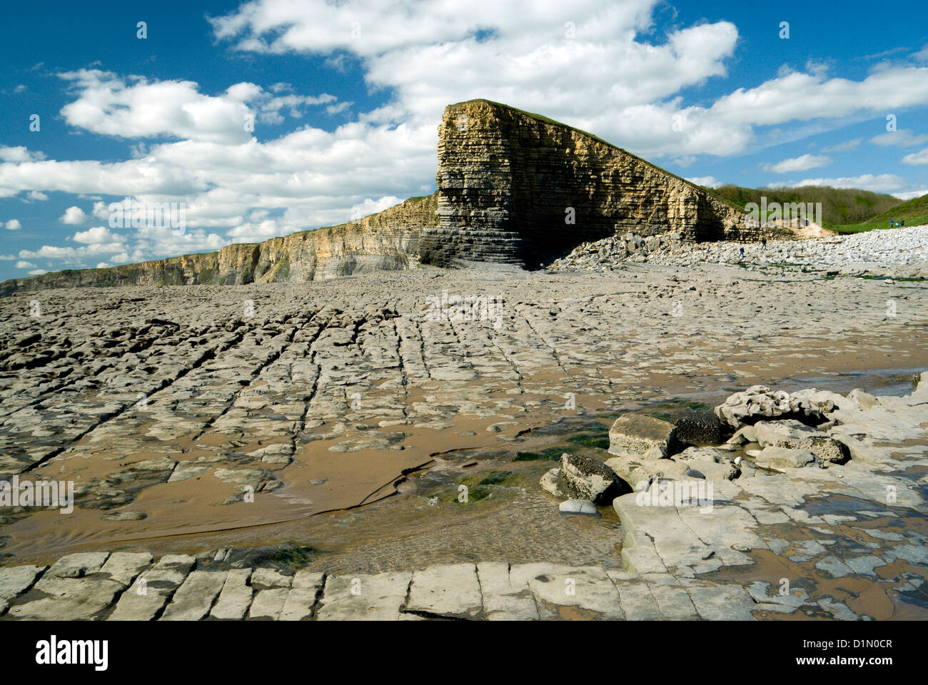 Lias scogliere calcaree nash punto glamorgan heritage coast Vale of Glamorgan South wales uk Foto Stock