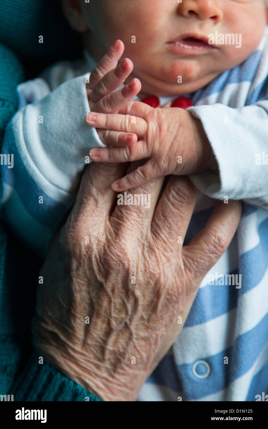 Vecchi e giovani mani di un gran madre e bambino nipote. Foto Stock
