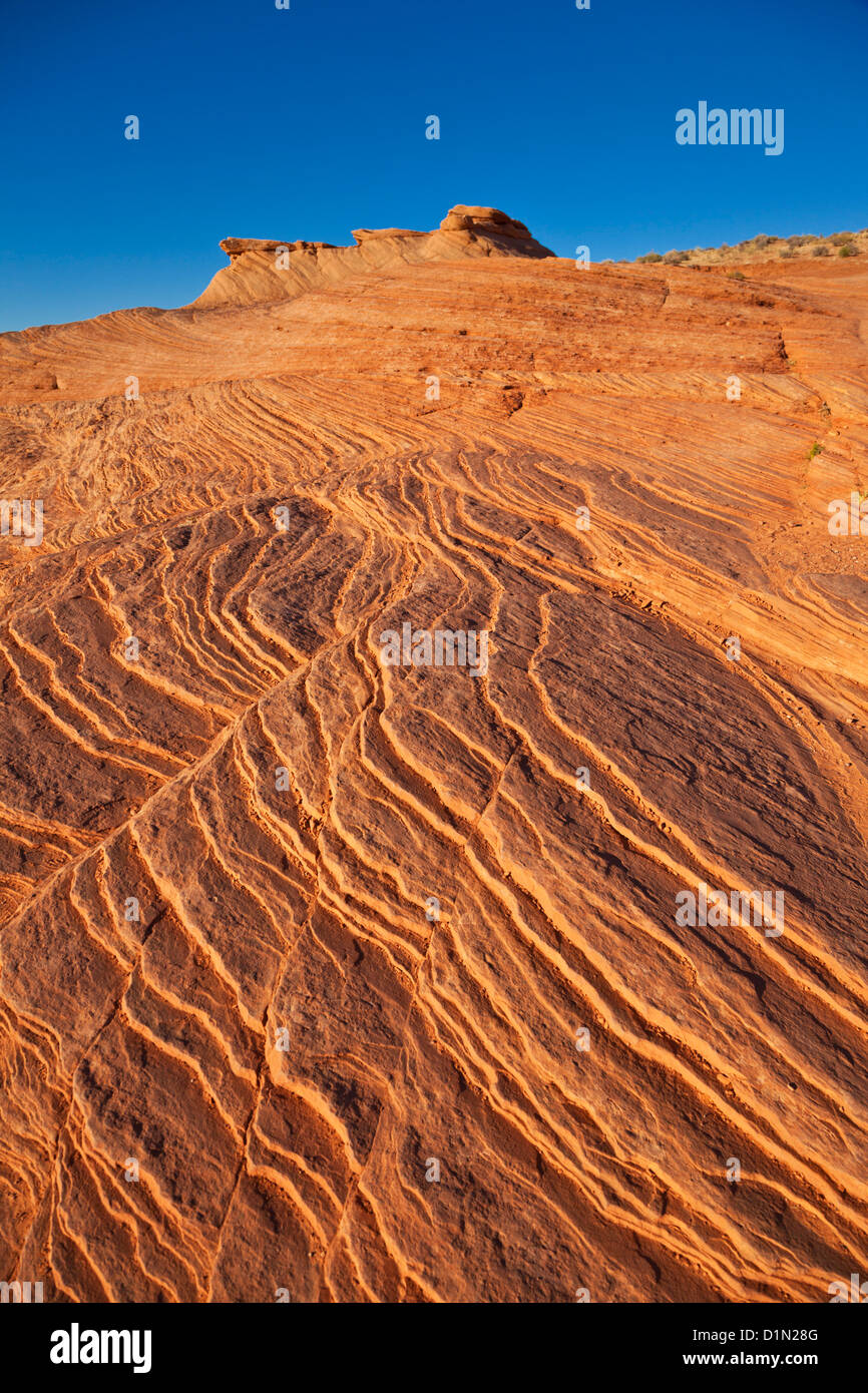 Alette sottili di erosione di rocce di arenaria Grand Staircase-Escalante monumento nazionale, Utah, Stati Uniti d'America Foto Stock