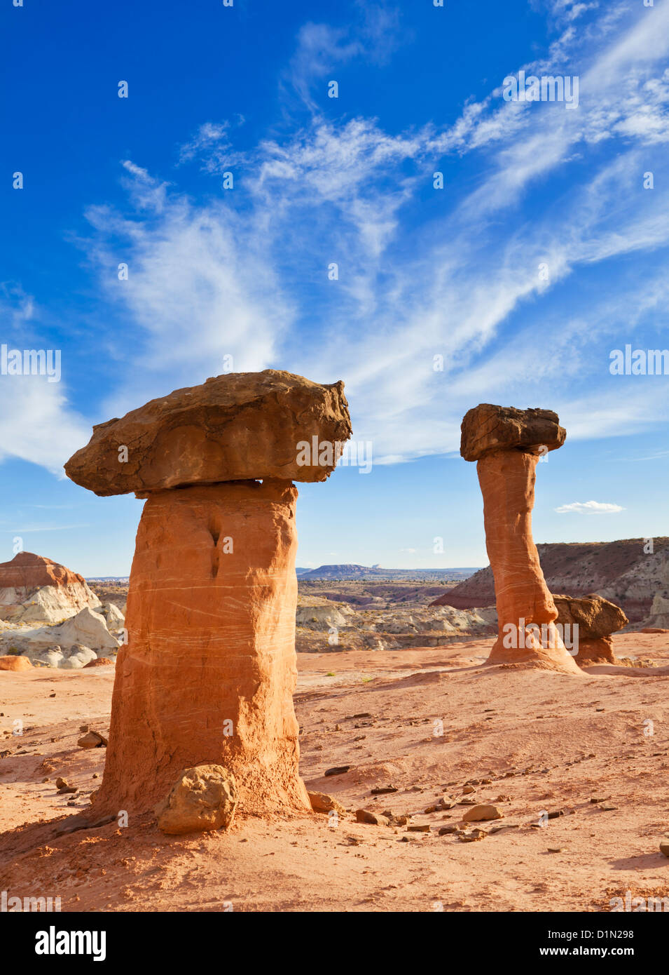 Toadstool Paria Rimrocks vicino a Kanab Grand Staircase-Escalante Monumento Nazionale Utah Stati Uniti d'America USA US Foto Stock