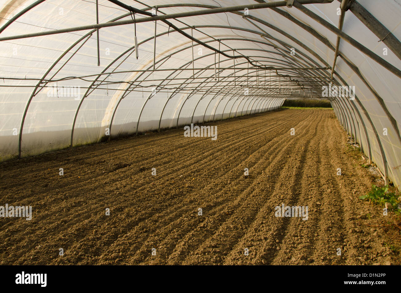 Serra vuota con del terreno fresco in Francia. Foto Stock