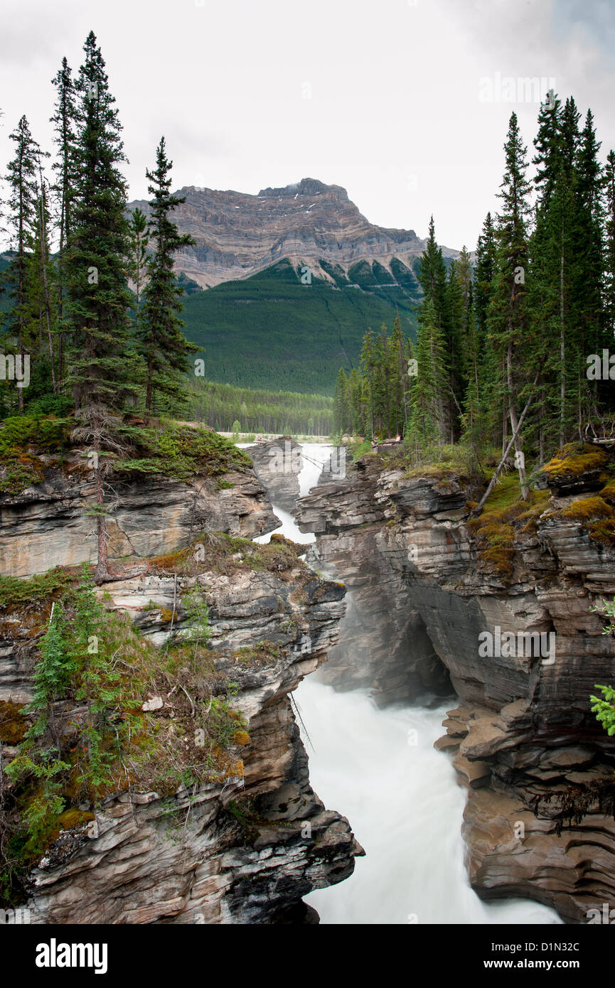 Cascate Athabasca cascata, il Parco Nazionale di Jasper, Alberta, Canada Foto Stock