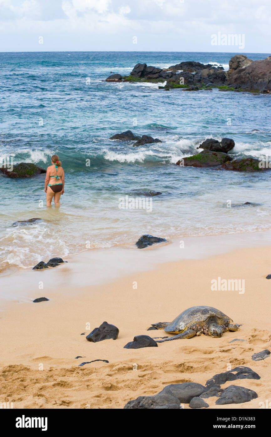 Una donna che guarda il mare come una tartaruga verde poggia sulla spiaggia di Hookipa Park sull'isola di Maui. Foto Stock